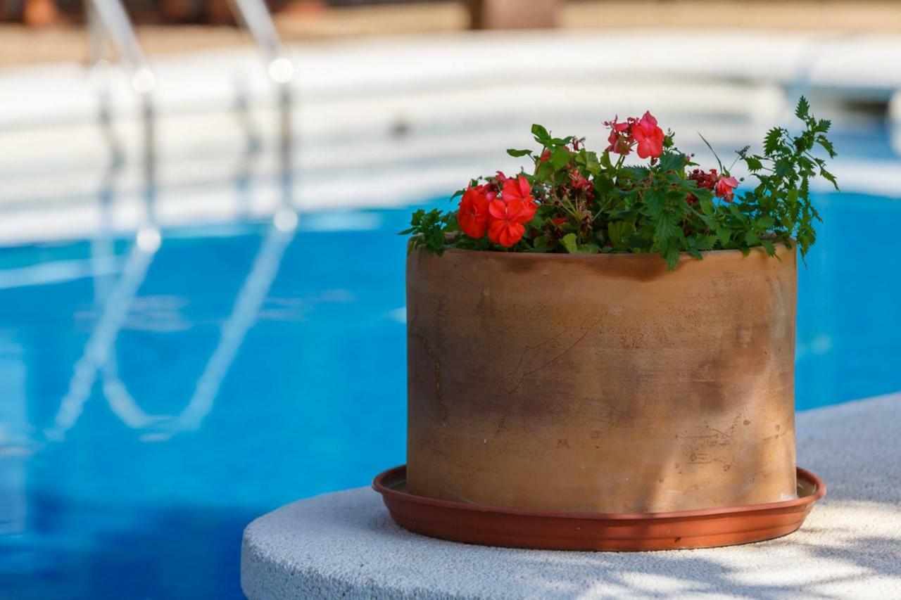 Casita Malvinas En De Con Piscina * Níjar